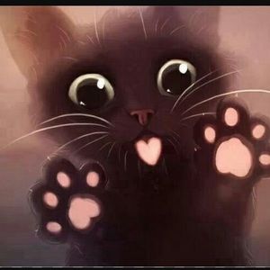 Meet your Posher, Drawing